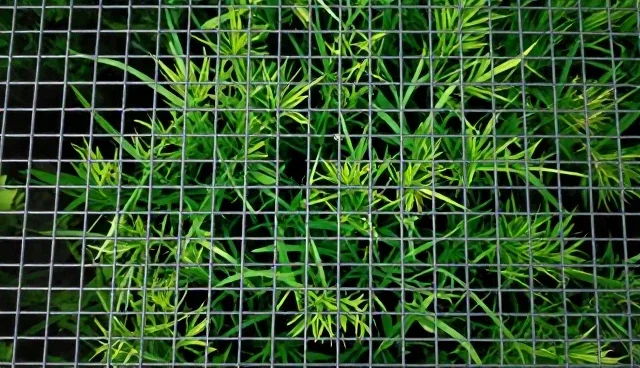 售后支持:批量业务发展趋势分析